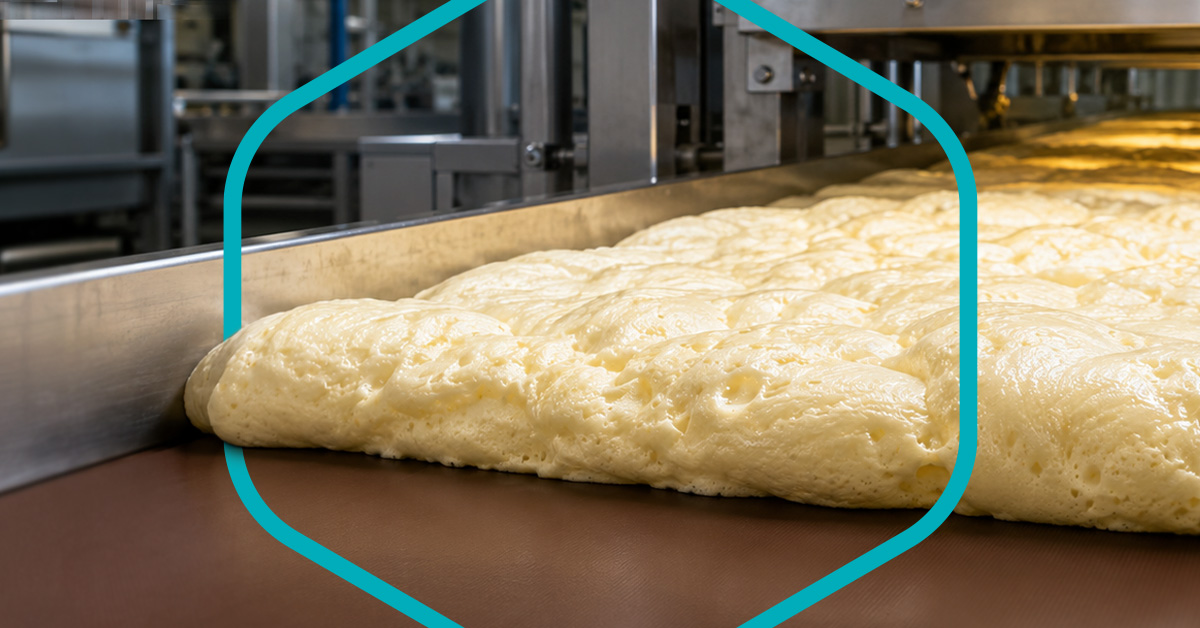 foam being cured on ptfe belt