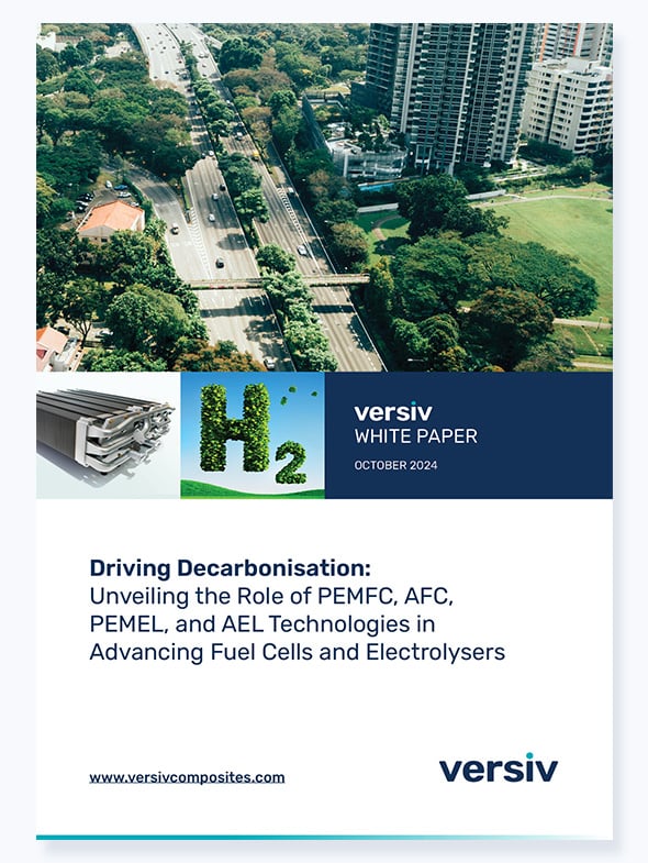 Driving Decarbonisation:  Unveiling the Role of PEMFC, AFC, PEMEL, and AEL Technologies in Advancing Fuel Cells and Electrolysers