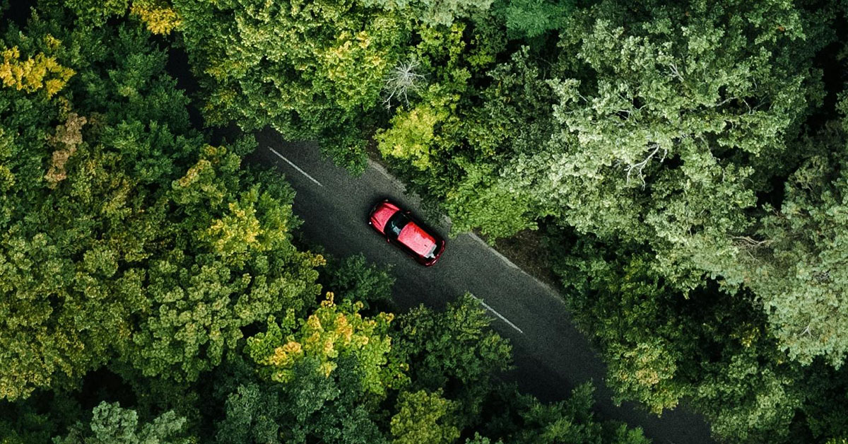 Aerial view of red car driving in road surrounded by trees